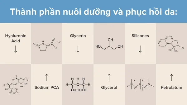 thanh phan kem duong